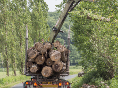 La Bretagne lance le fonds Breizh Forêt Bois