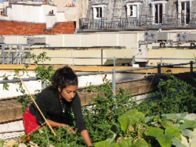 Paris va lancer deux appels à projets pour végétaliser la ville et développer l’agriculture urbaine
