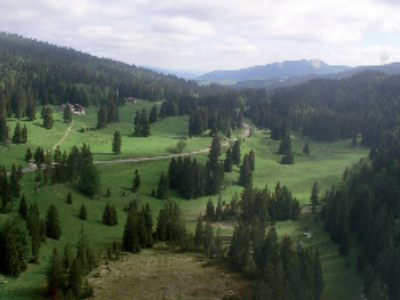 COP21 : le Haut-Jura ausculte sa forêt