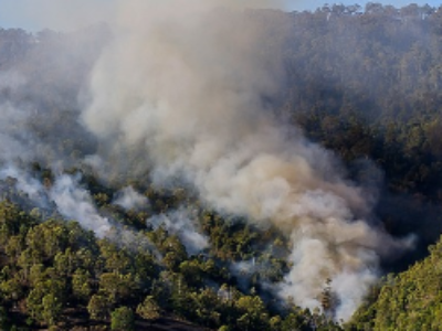 Incendies de forêts : un cadre légal à l’intervention des départements