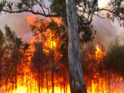 Protection des forêts contre les incendies : une loi conforte la capacité d’intervention des départements