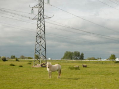 Electrification rurale : des taux à la baisse pour 2016