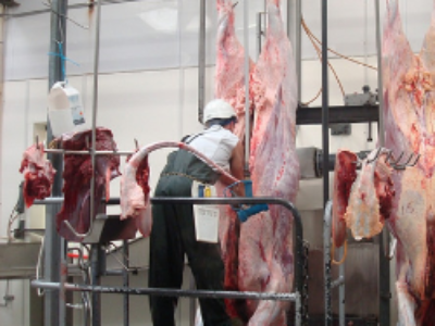 Obligation de caméras dans les abattoirs à partir de 2018