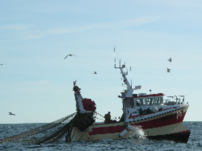 Un décret met en place les zones de conservation halieutiques
