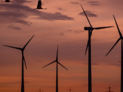 Éolien, solaire, biogaz : trois aides validées par l’Europe