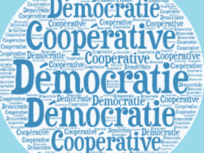 Les 10 propositions du Sénat pour une démocratie “coopérative”