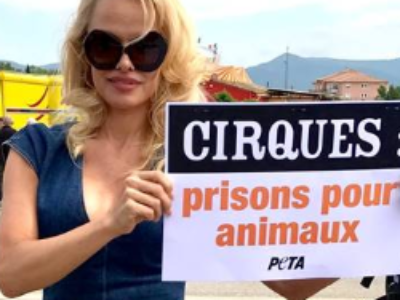 Pamela Anderson alerte les maires de France