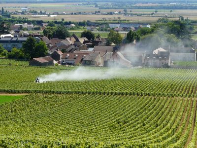Fronde anti-pesticides : cinq villes veulent combler les trous dans la raquette de la loi Labbé